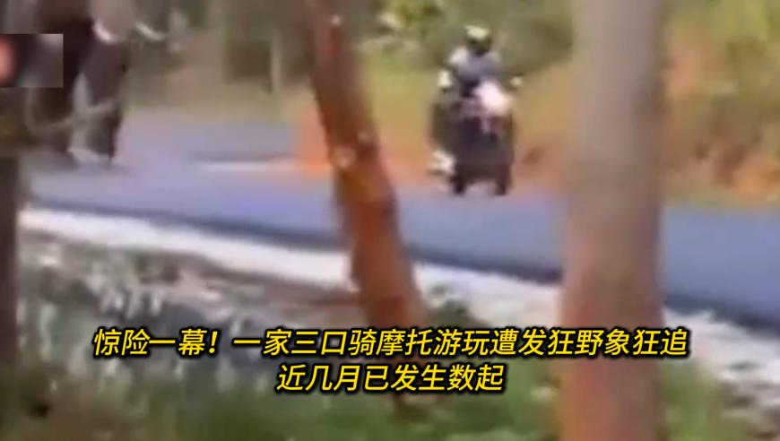 范思哲取关,2025澳门马会正版免费资料,多元化方案执行策略_入门版V15.74