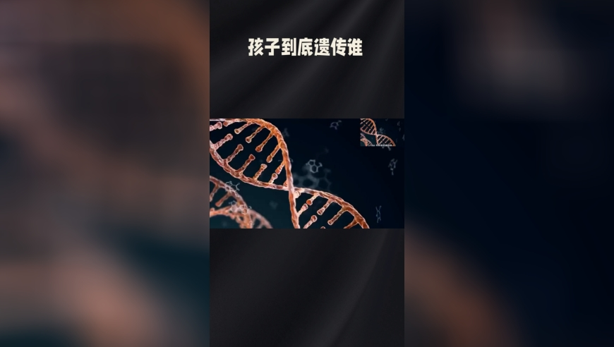 万斯称泽连斯基侮辱了特朗普,二四定开在今期正确生肖,重点解答解释落实_完整版V1.32