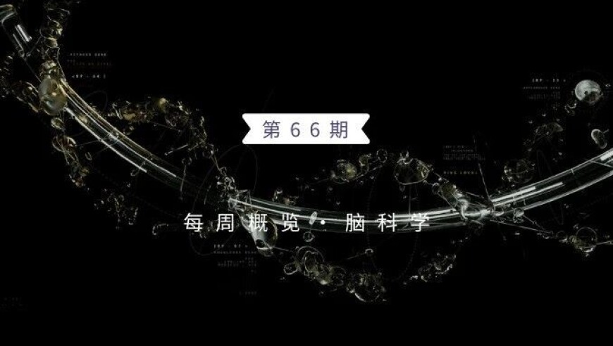 独身女子病逝房产收归国家,澳门天下彩资料大全免费下载,详细释义解释落实_AndroidV5.70